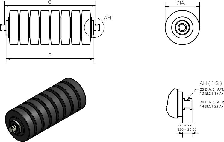 AH ( 1:3 ) AH F G DIA. 25 DIA. SHAFT: 12 SLOT 18 AF 30 DIA. SHAFT: 14 SLOT 22 AF S25 = 22,00 S30 = 25,00